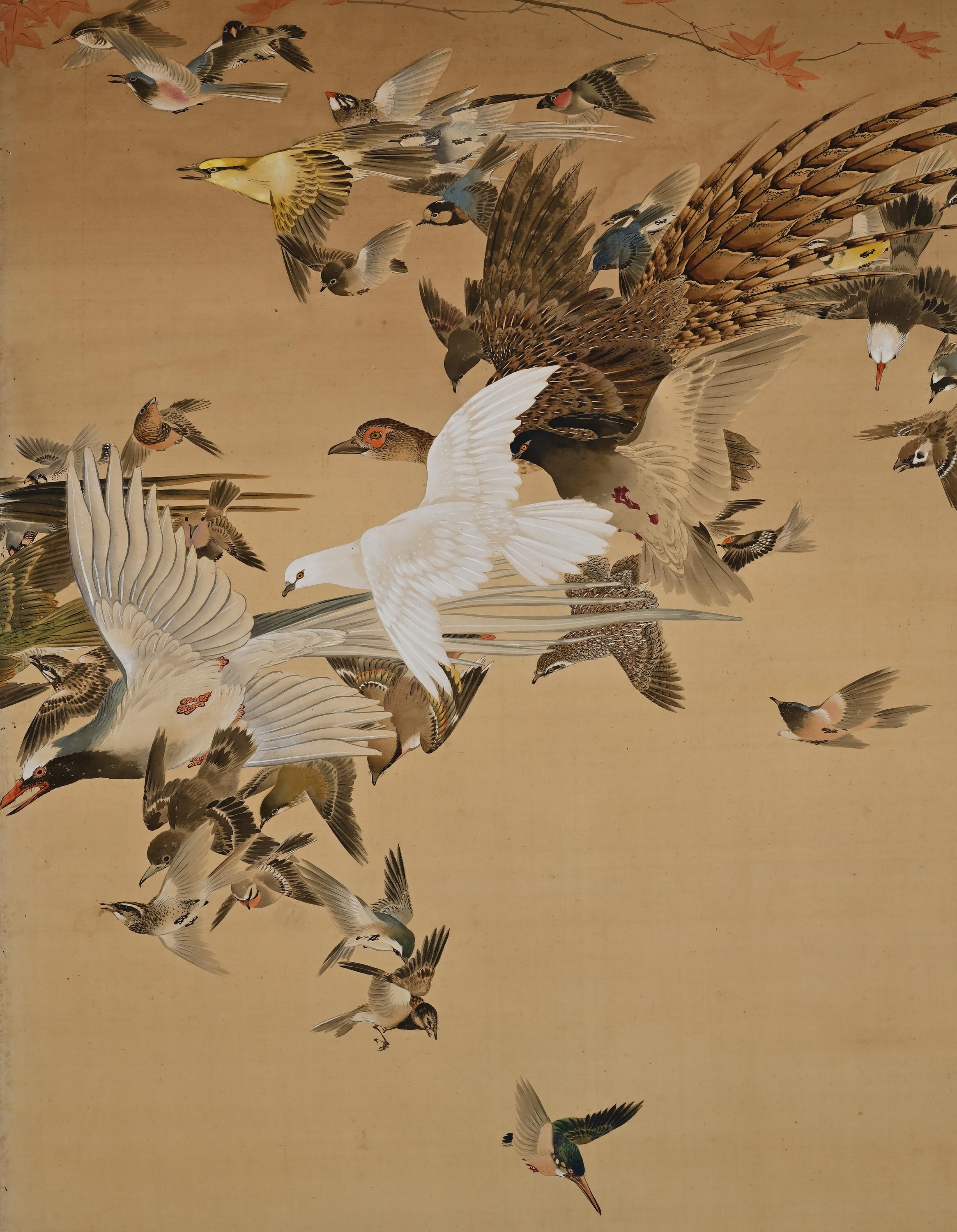 Meiji Period Japanese Screen Pair, One Hundred Birds by Hasegawa Gyokujun For Sale 2