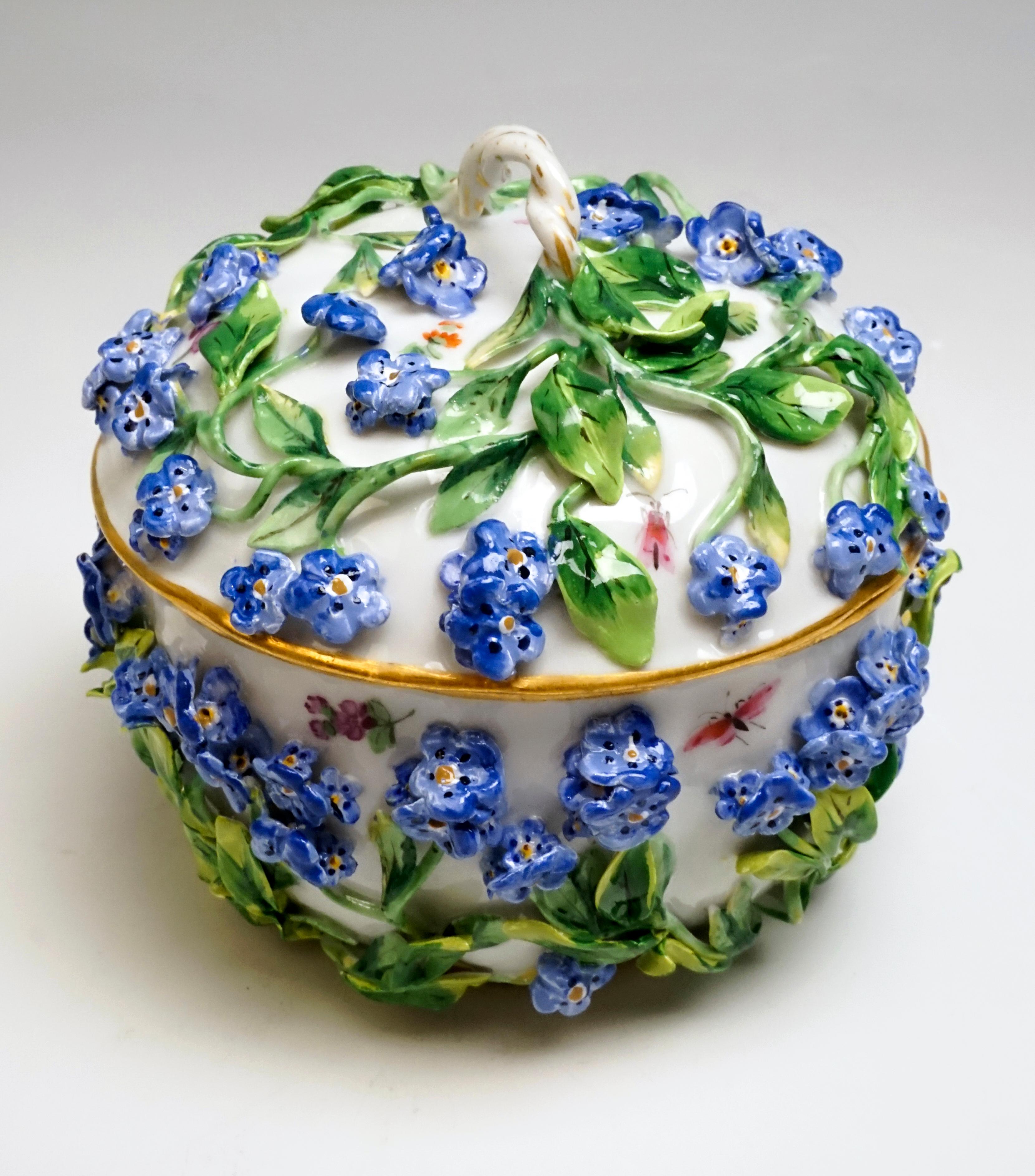 Meissen 5-Part Core Piece Coffee & Tea Rich Forget-Me-Not Decor, circa 1850 3