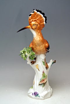 Meissen Animal Figurine Hoopoe Bird Model 278 Kaendler Made circa 1850