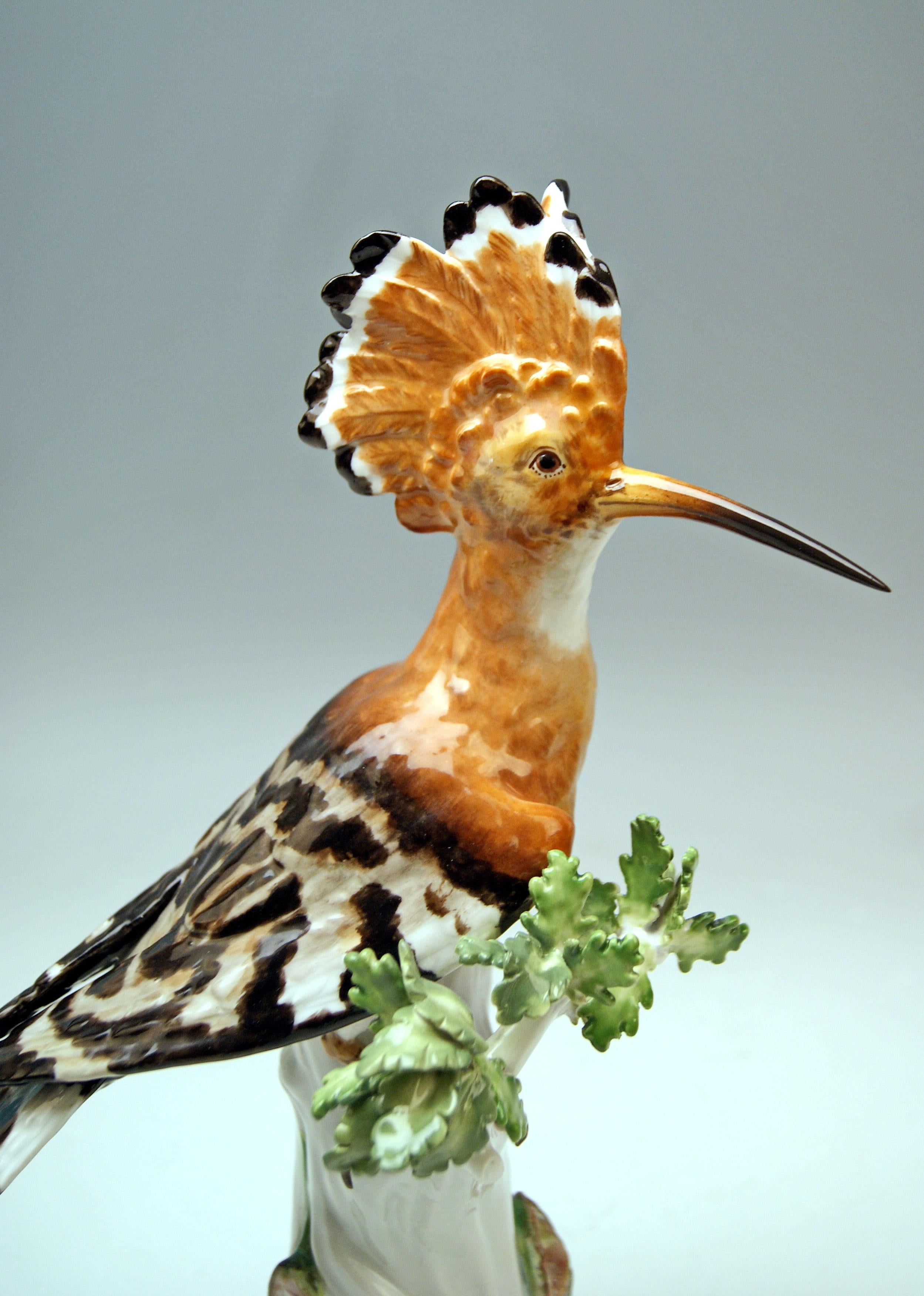Rococo Meissen Animal Figurine Hoopoe Bird Model 278 Kaendler Made circa 1850