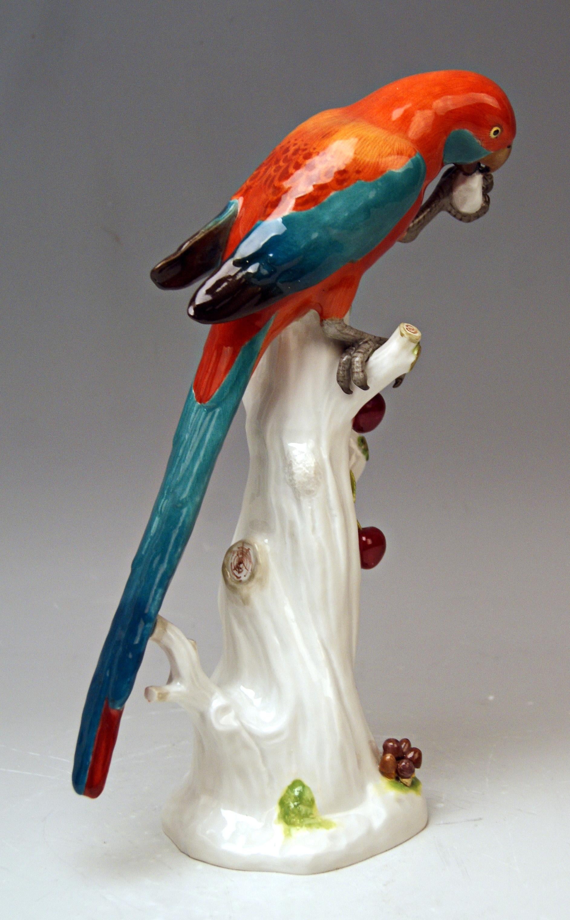 Rococo Meissen Animal Figurine Parrot with Cherries Model 20 Kaendler Made circa 1870