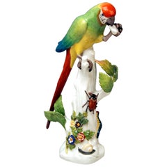 Antique Meissen Animal Figurine Parrot with Cockchafer Model 20 Kaendler Made 1860