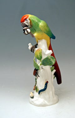 Meissen Animal Figurine Parrot with Cockchafer Model 20 Kaendler Made 1860