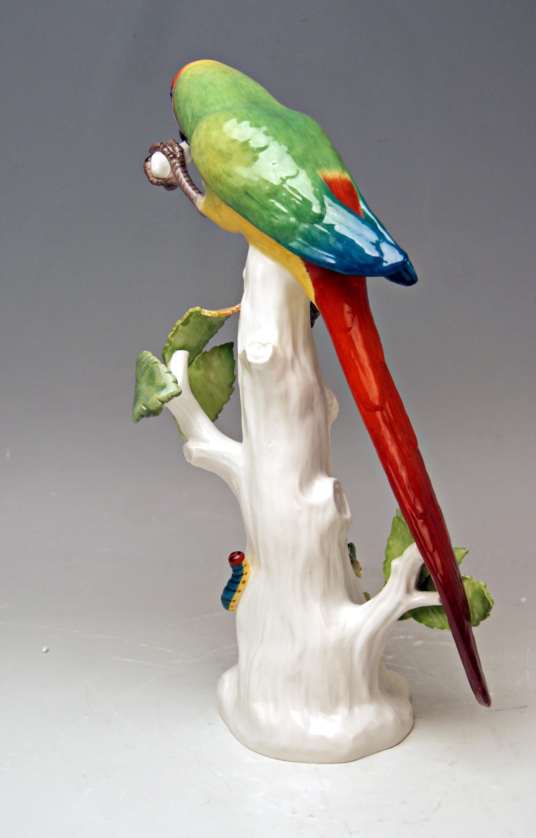 Rococo Meissen Animal Figurine Parrot with Cockchafer Model 20 Kaendler Made 1860