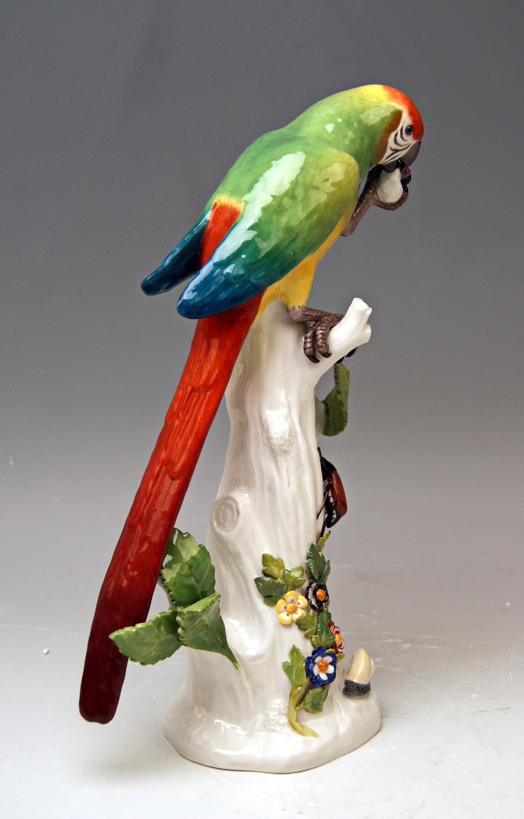 German Meissen Animal Figurine Parrot with Cockchafer Model 20 Kaendler Made 1860