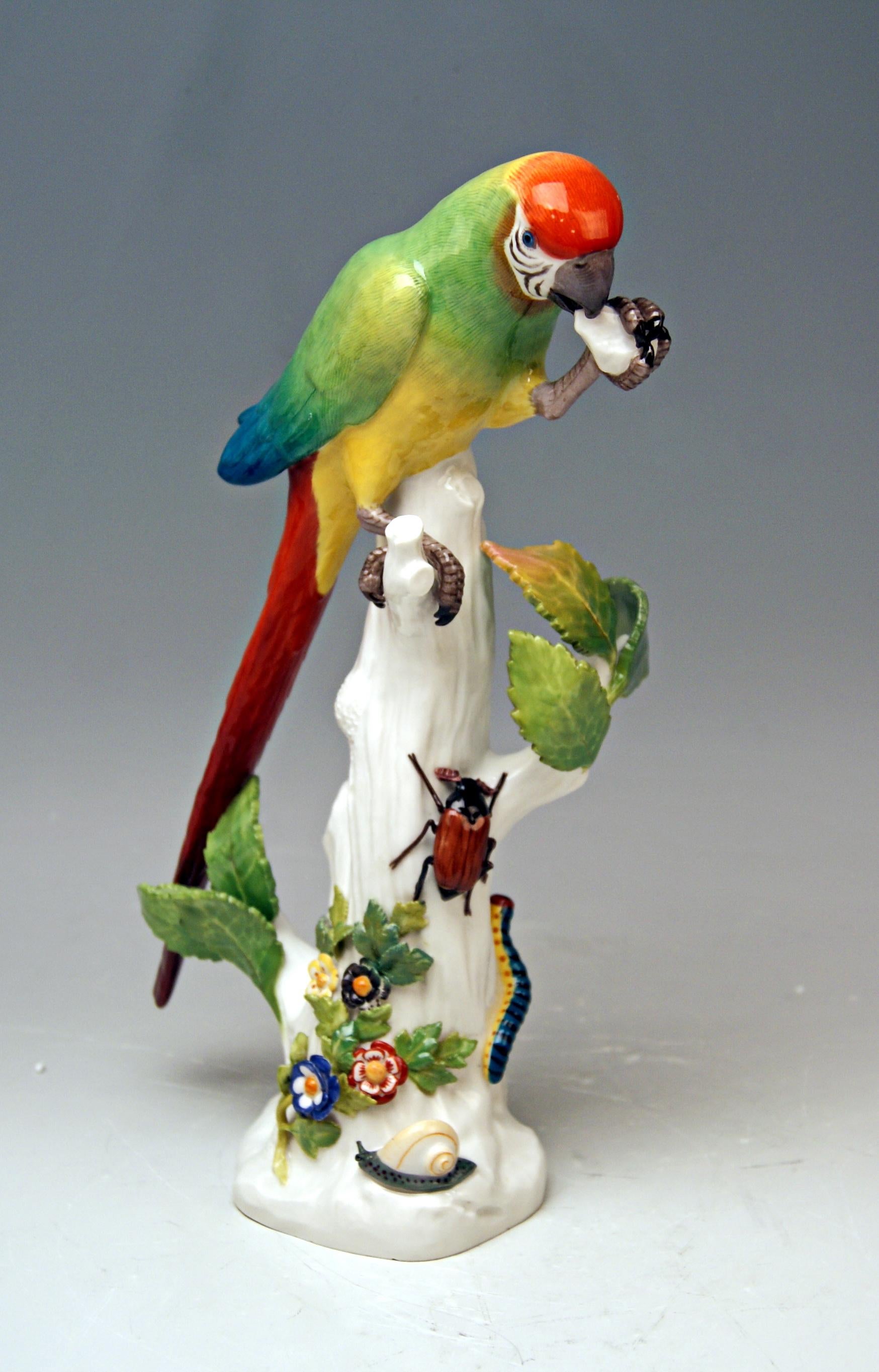 Hand-Painted Meissen Animal Figurine Parrot with Cockchafer Model 20 Kaendler Made 1860