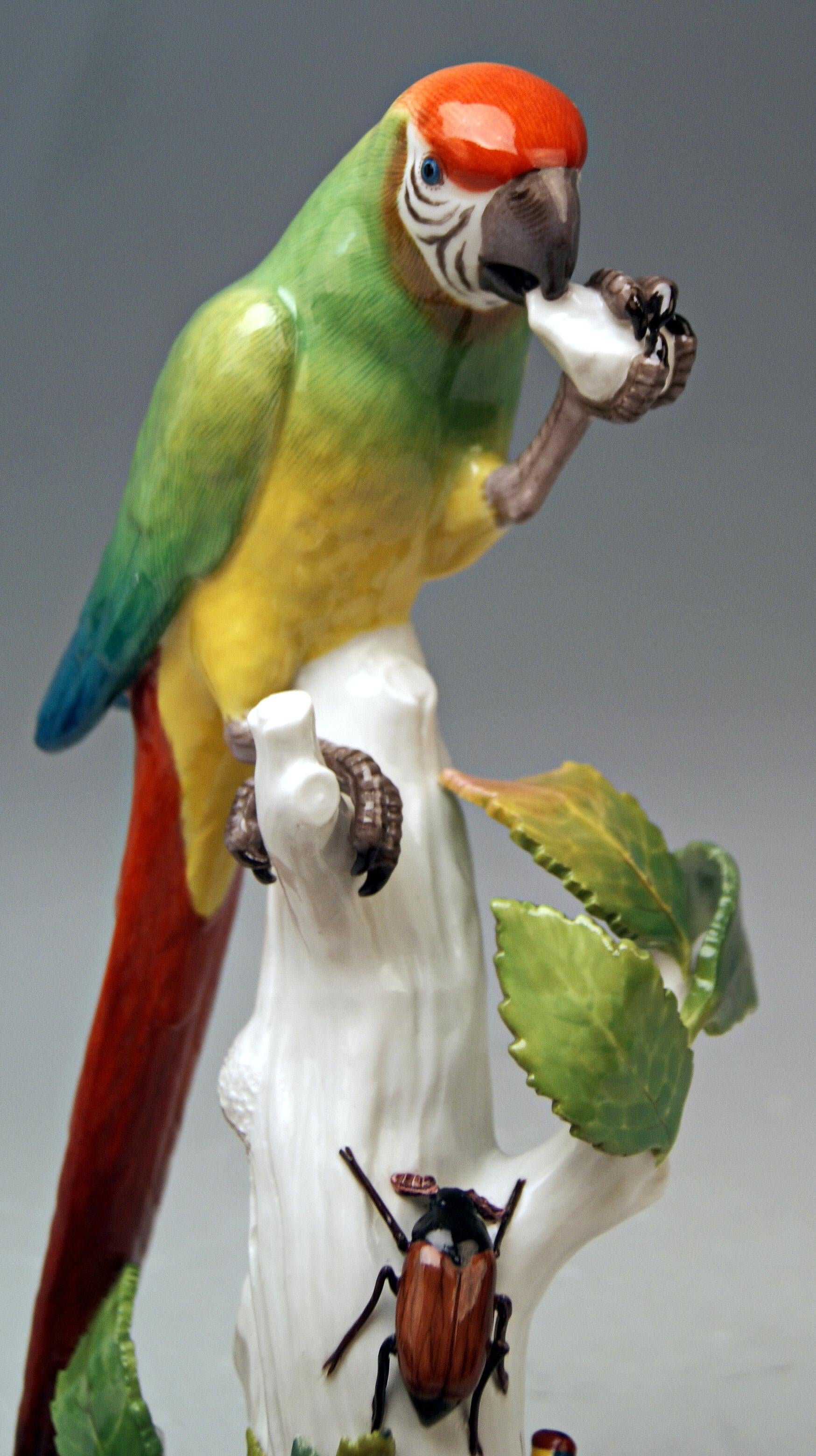 Meissen Animal Figurine Parrot with Cockchafer Model 20 Kaendler Made 1860 In Excellent Condition In Vienna, AT