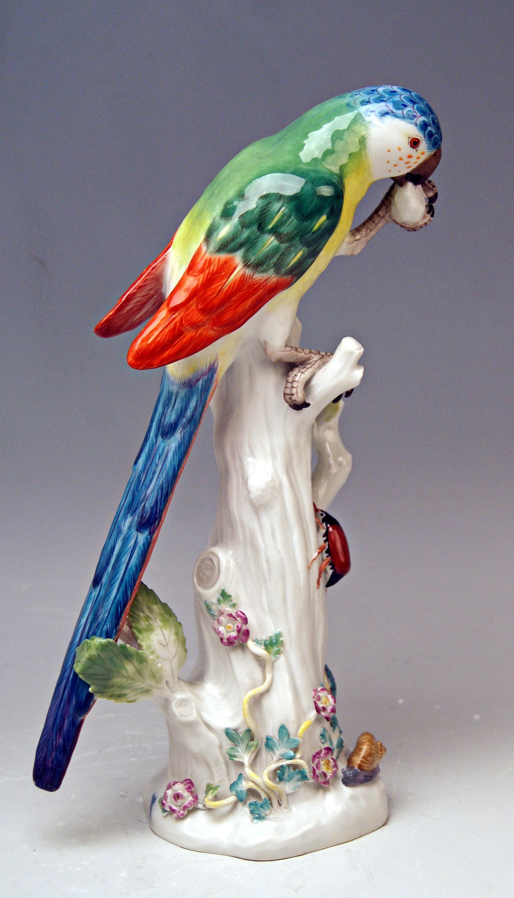 Rococo Meissen Animal Figurine Parrot with Cockchafer Model 20x Kaendler made 1956