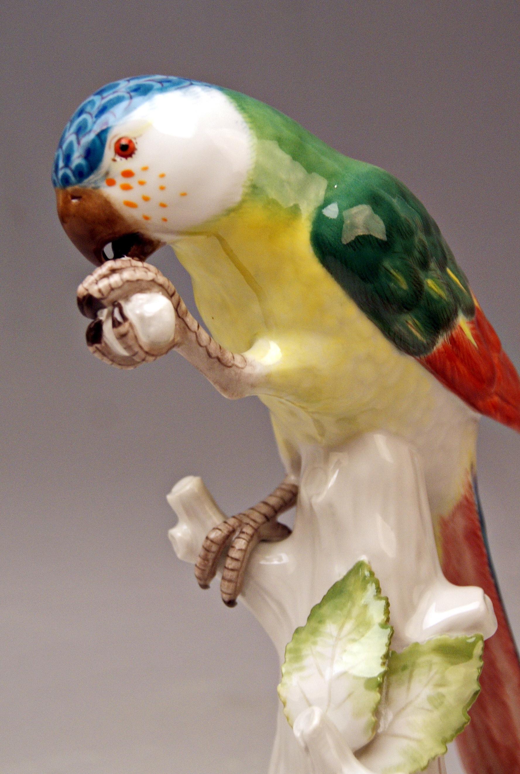 German Meissen Animal Figurine Parrot with Cockchafer Model 20x Kaendler made 1956