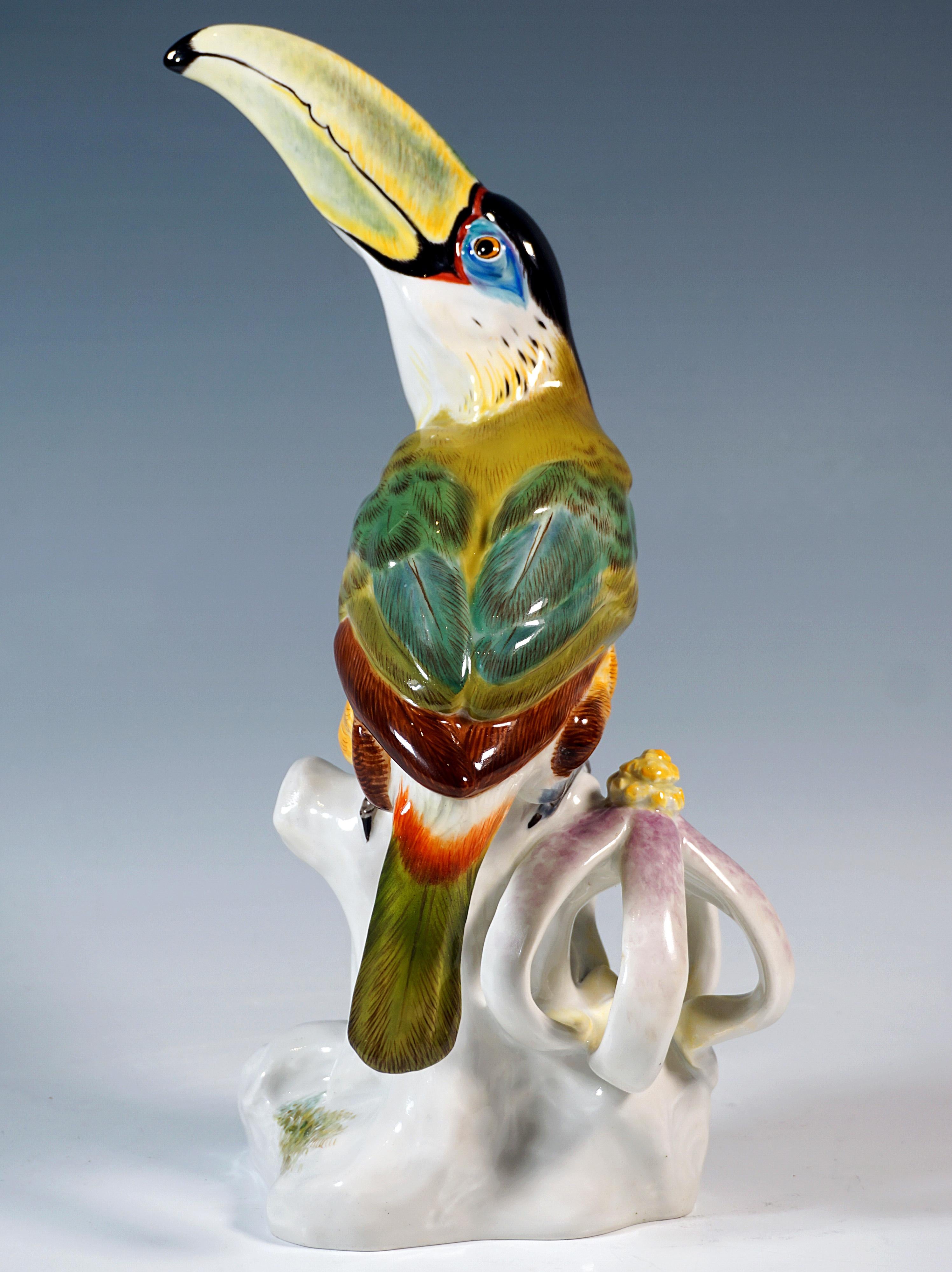Art Deco Meissen Animal Figurine, Toucan On A Traa Trunk, by Paul Walther, 20th Century For Sale