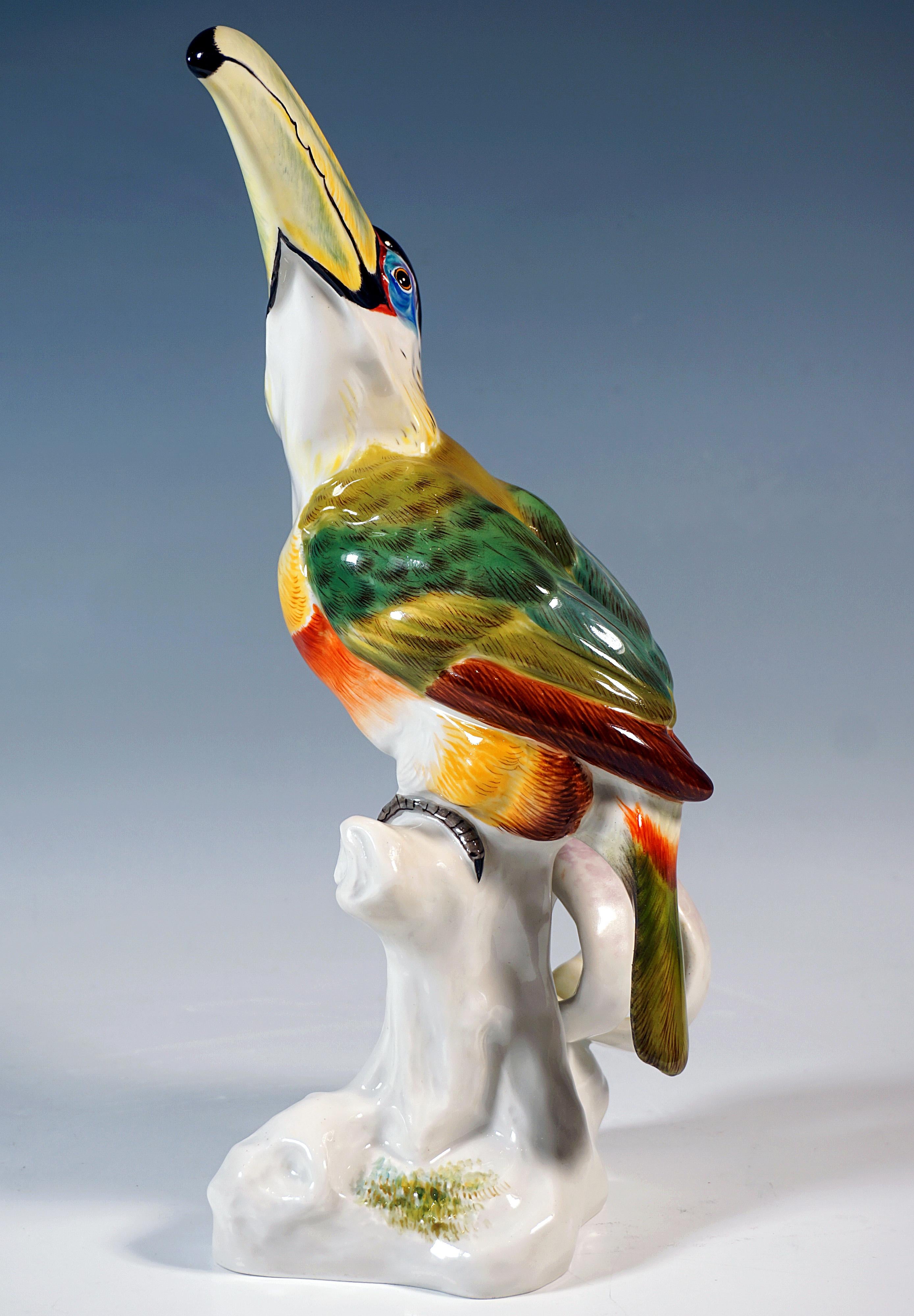 German Meissen Animal Figurine, Toucan On A Traa Trunk, by Paul Walther, 20th Century For Sale