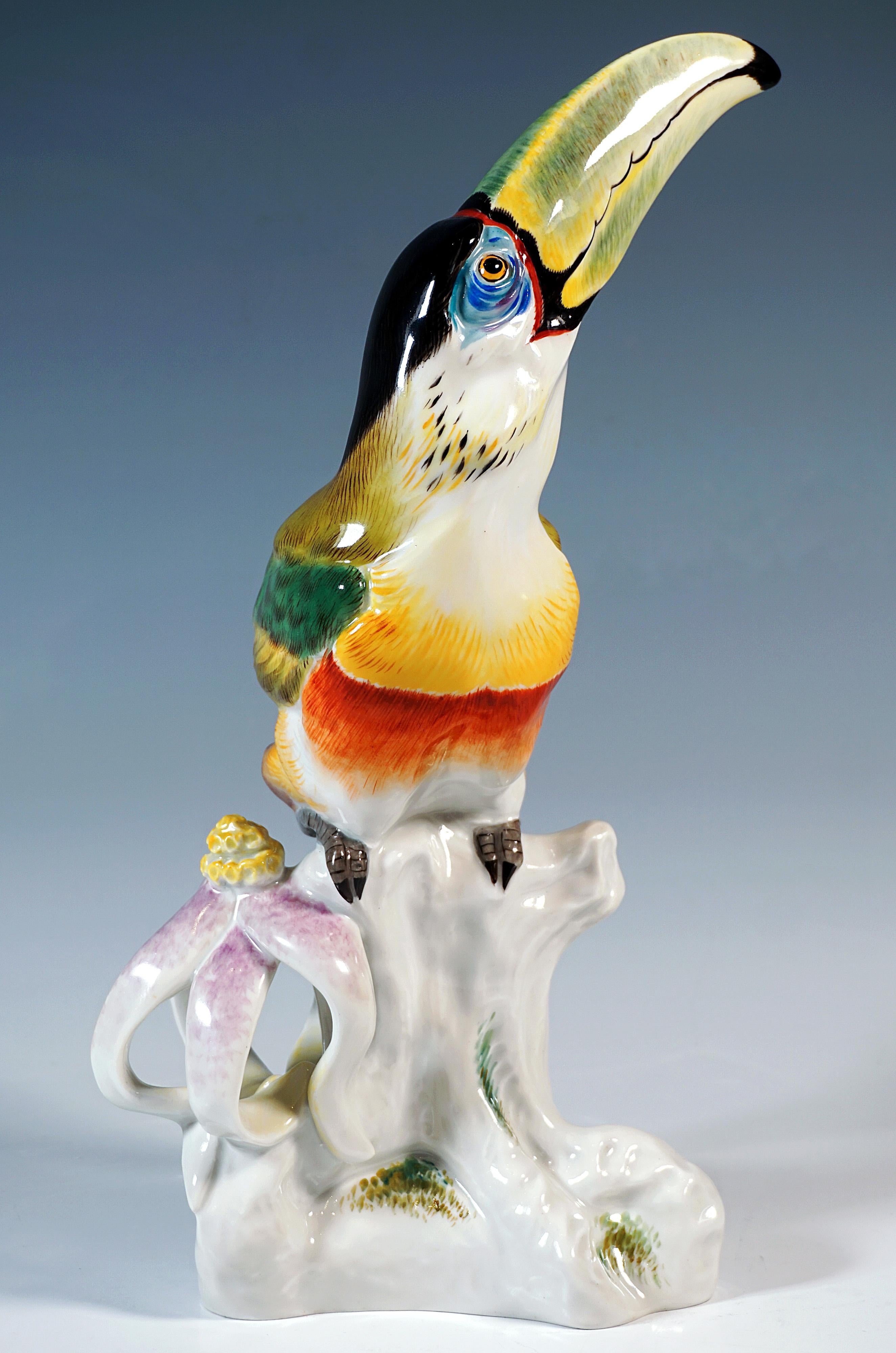 Hand-Crafted Meissen Animal Figurine, Toucan On A Traa Trunk, by Paul Walther, 20th Century For Sale