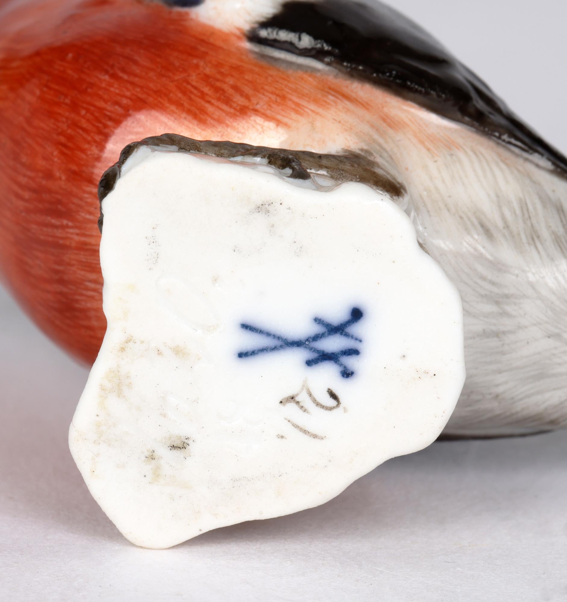 Meissen Antique Porcelain Model of a Bullfinch Bird 3