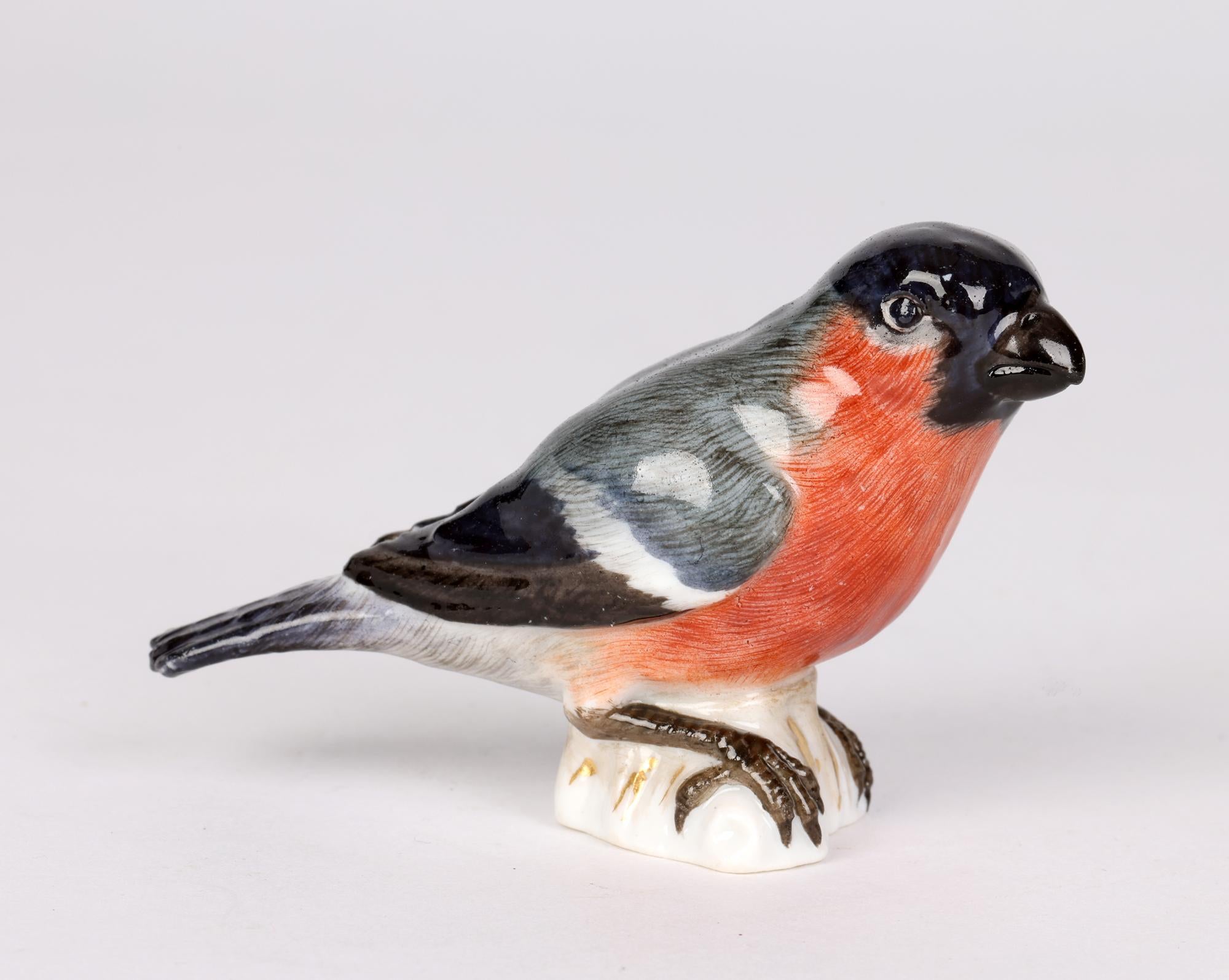 Meissen Antique Porcelain Model of a Bullfinch Bird 4