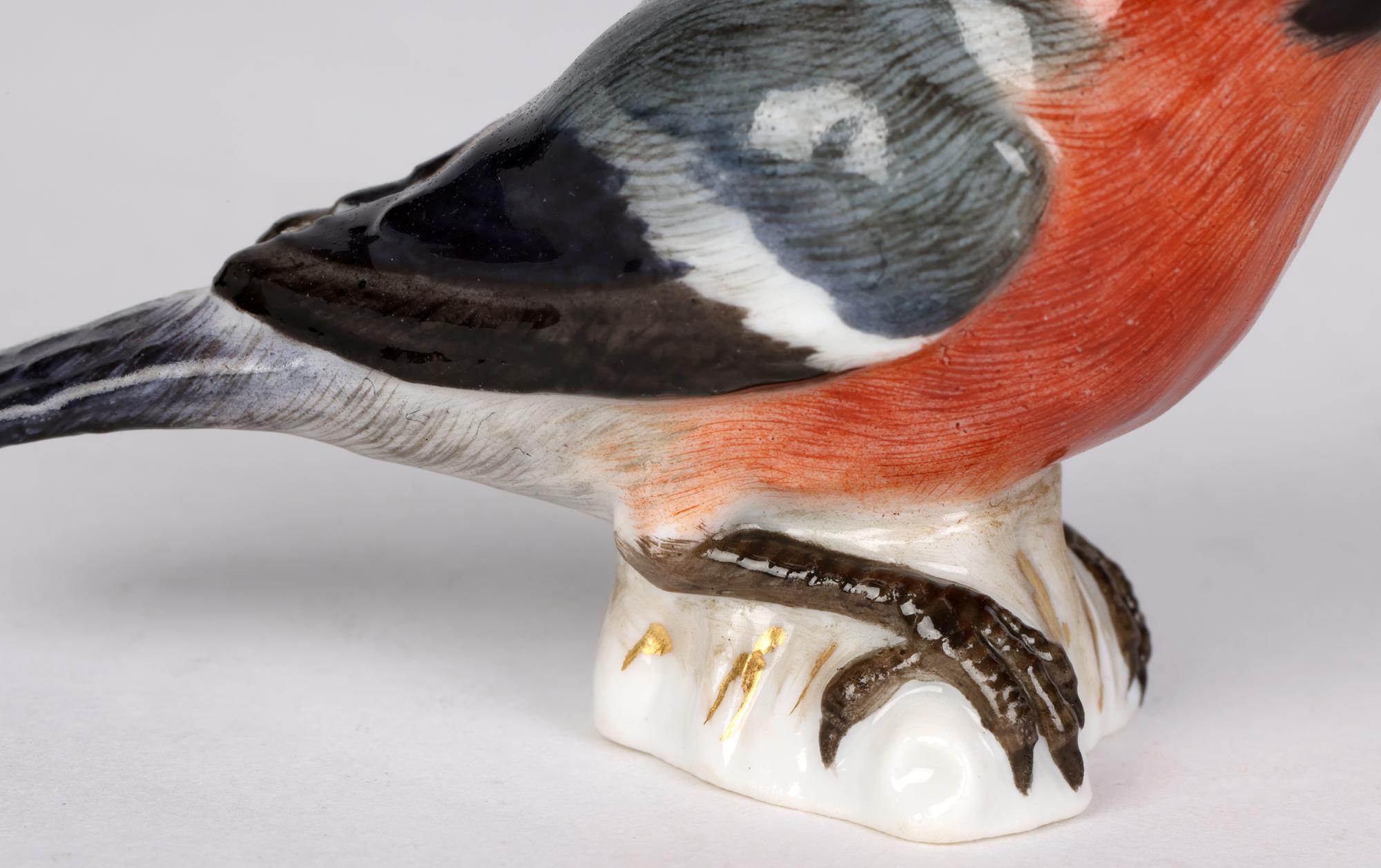 Meissen Antique Porcelain Model of a Bullfinch Bird 6
