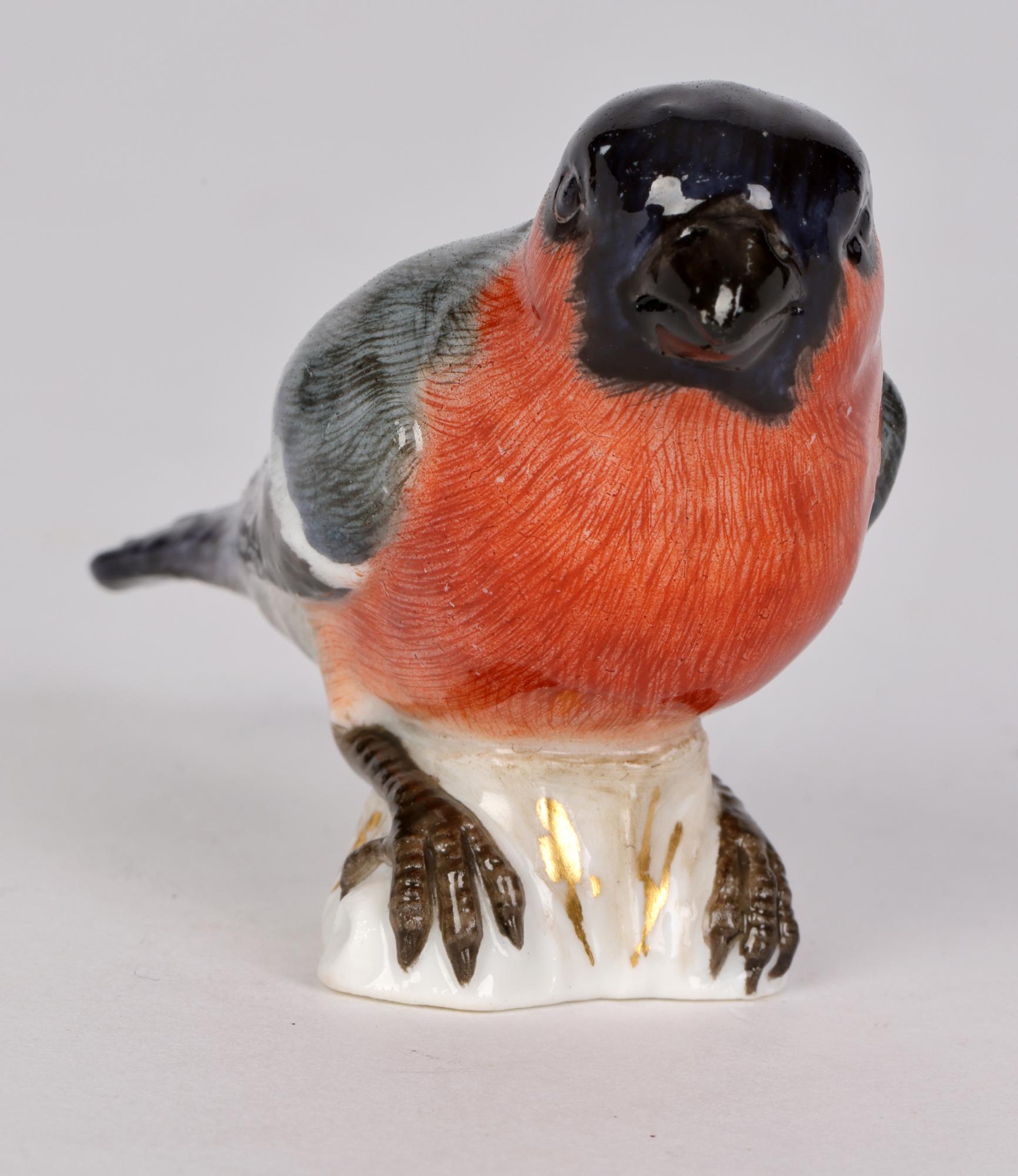 A fine antique German Meissen porcelain model of a Bullfinch bird dating from the latter 19th century. This heavily made and well modelled bird shows the Bullfinch perched on a raised rock work base with simple gilded grass like designs the bird is