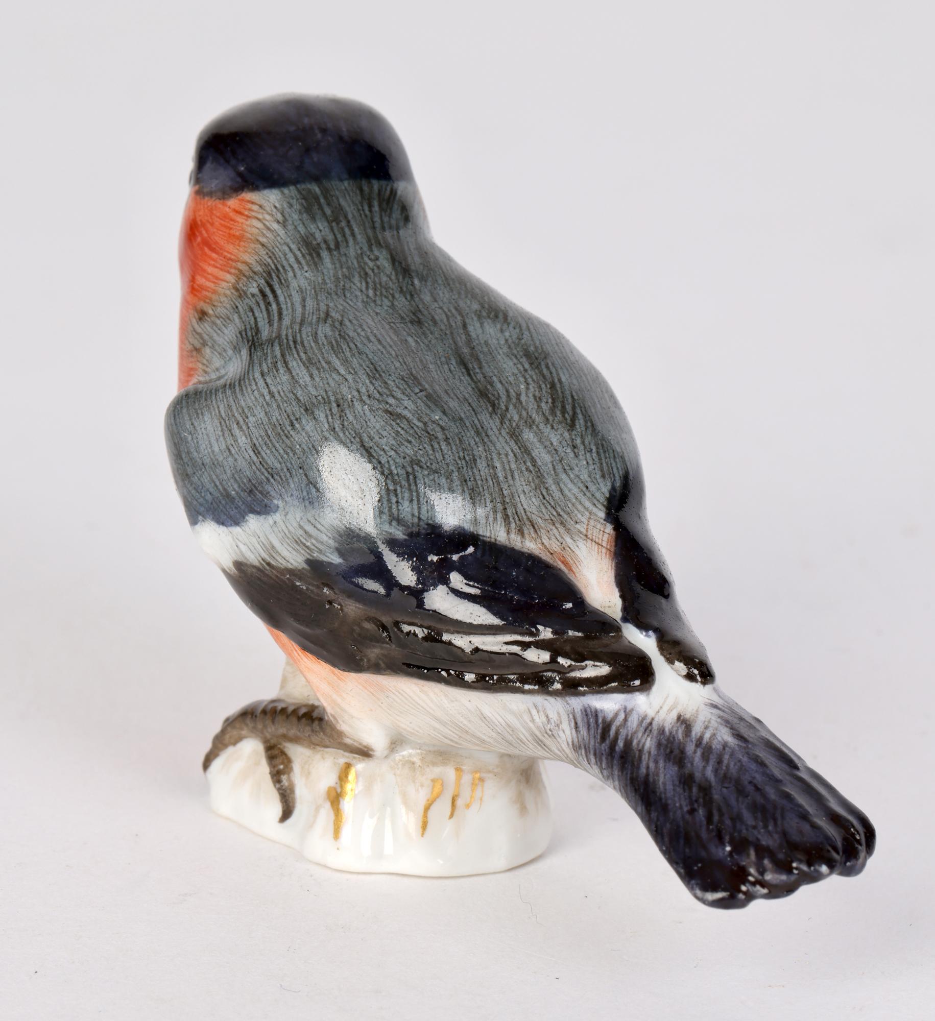 German Meissen Antique Porcelain Model of a Bullfinch Bird