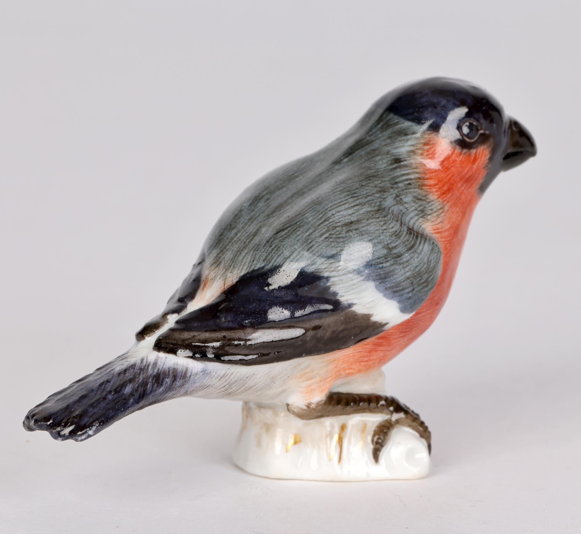 Meissen Antique Porcelain Model of a Bullfinch Bird In Good Condition In Bishop's Stortford, Hertfordshire