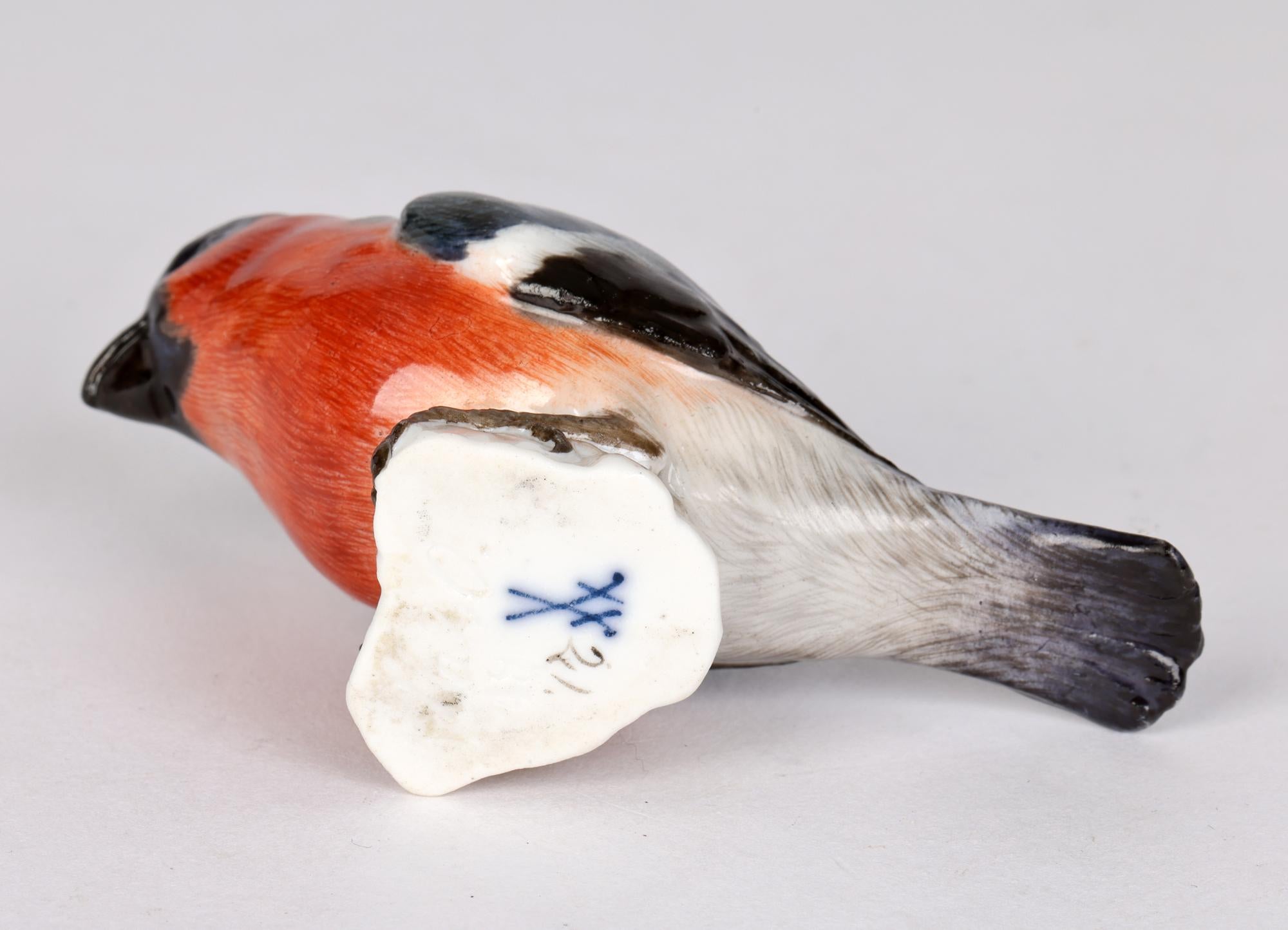 Meissen Antique Porcelain Model of a Bullfinch Bird 1