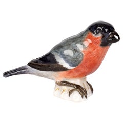 Meissen Antique Porcelain Model of a Bullfinch Bird