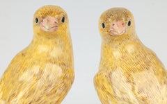 Antikes, seltenes Paar Kanarienvögel aus Meissen Porcelain