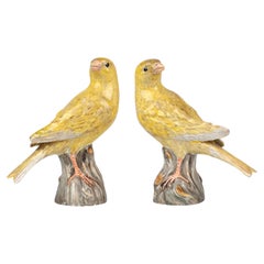 Antikes, seltenes Paar Kanarienvögel aus Meissen Porcelain