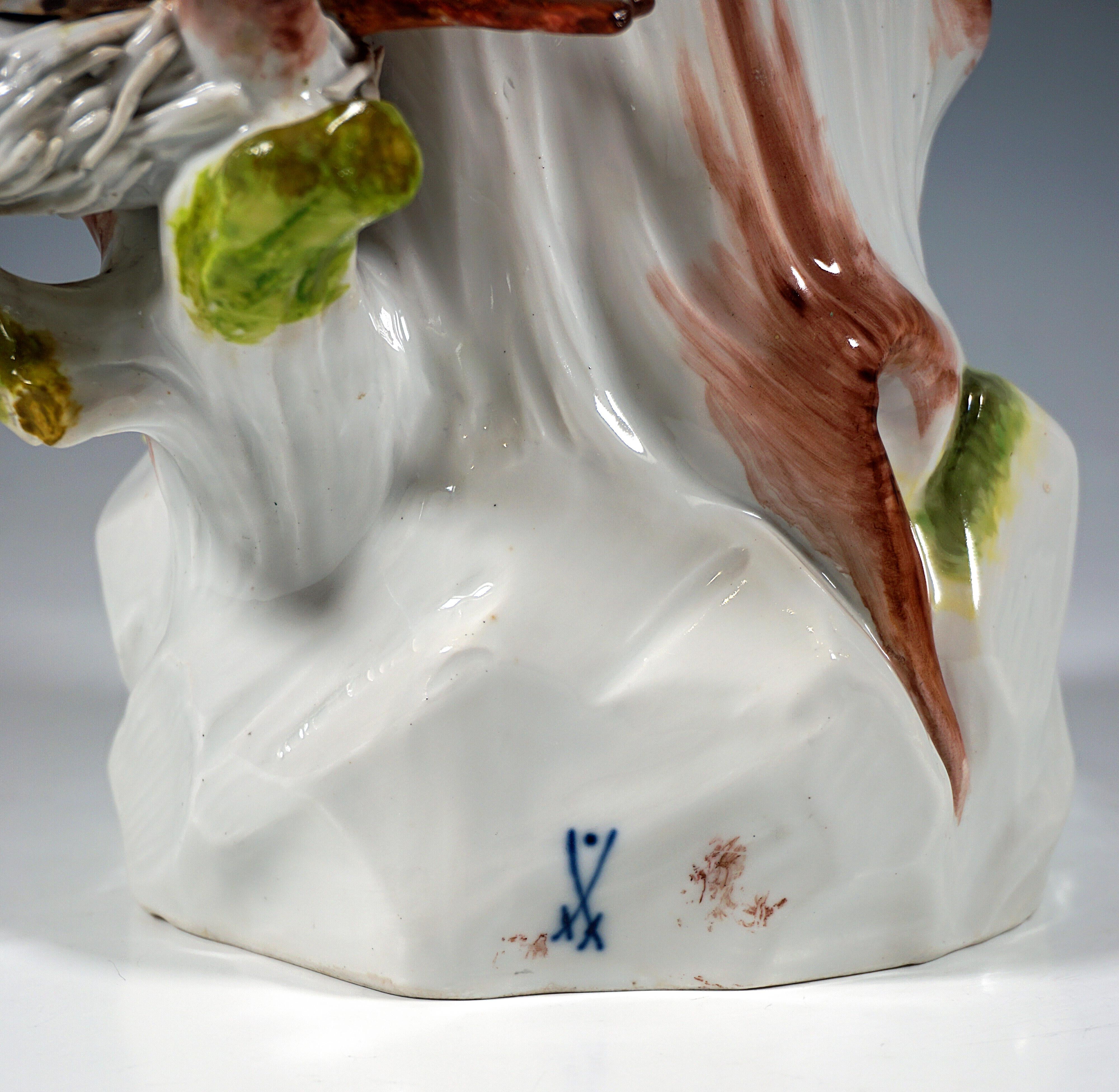 Porcelain Meissen Bird Figure, European Roller On A Trunk, by J.J. Kaendler, Germany, 20th For Sale