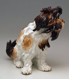 Meissen Bolognese Dog Model 2880 by Johann Joachim Kaendler Made circa 1870