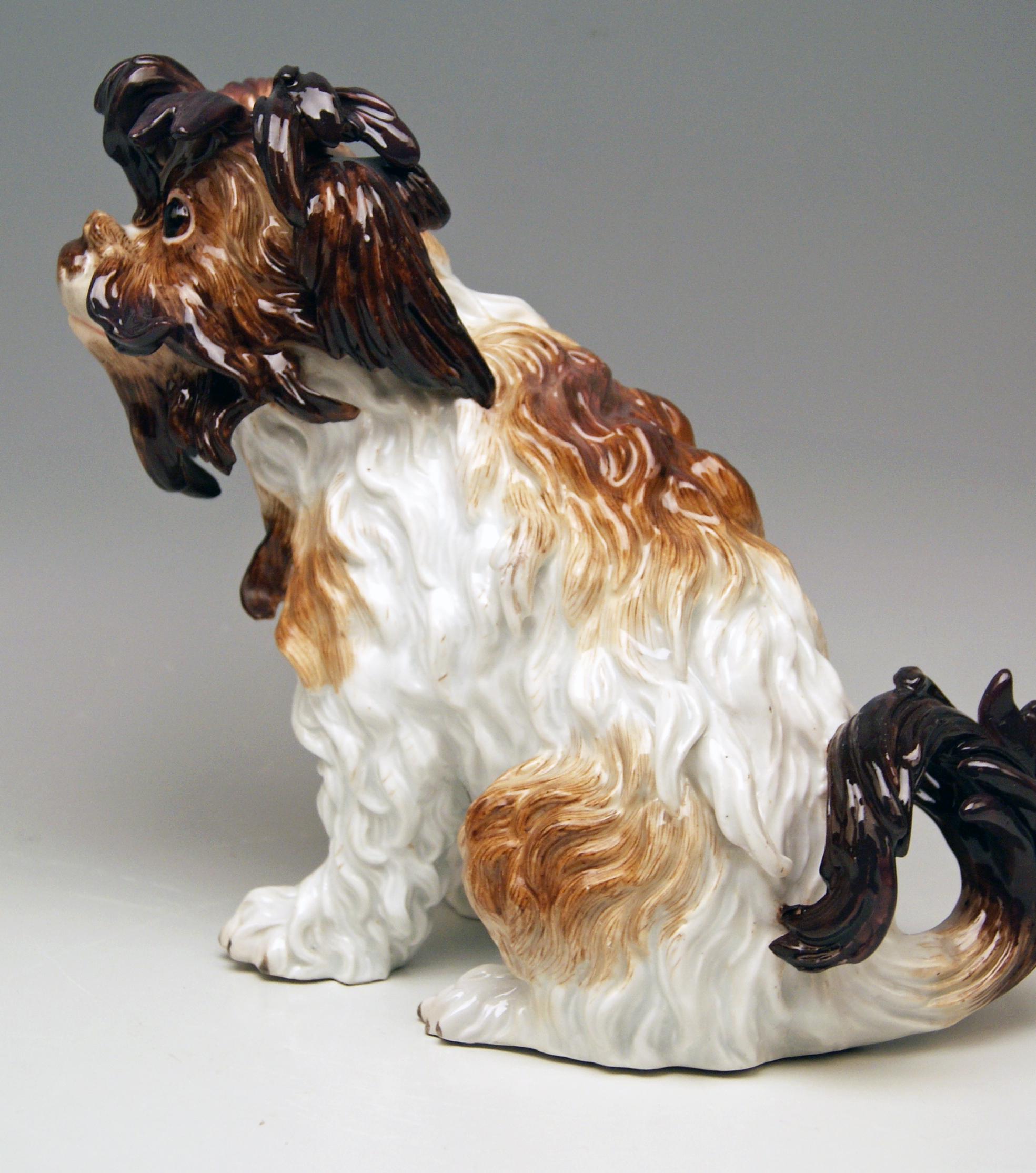Rococo Meissen Bolognese Dog Model 2880 by Johann Joachim Kaendler Made circa 1870