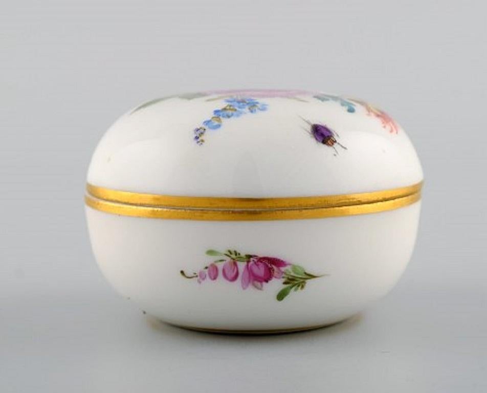 German Meissen Bomboniere in Hand Painted Porcelain with Floral Motifs, 20th Century For Sale