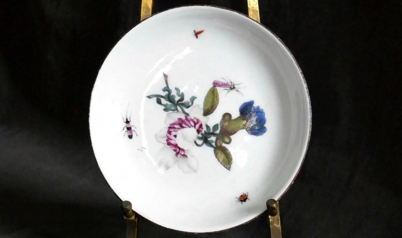 purple floral dishes