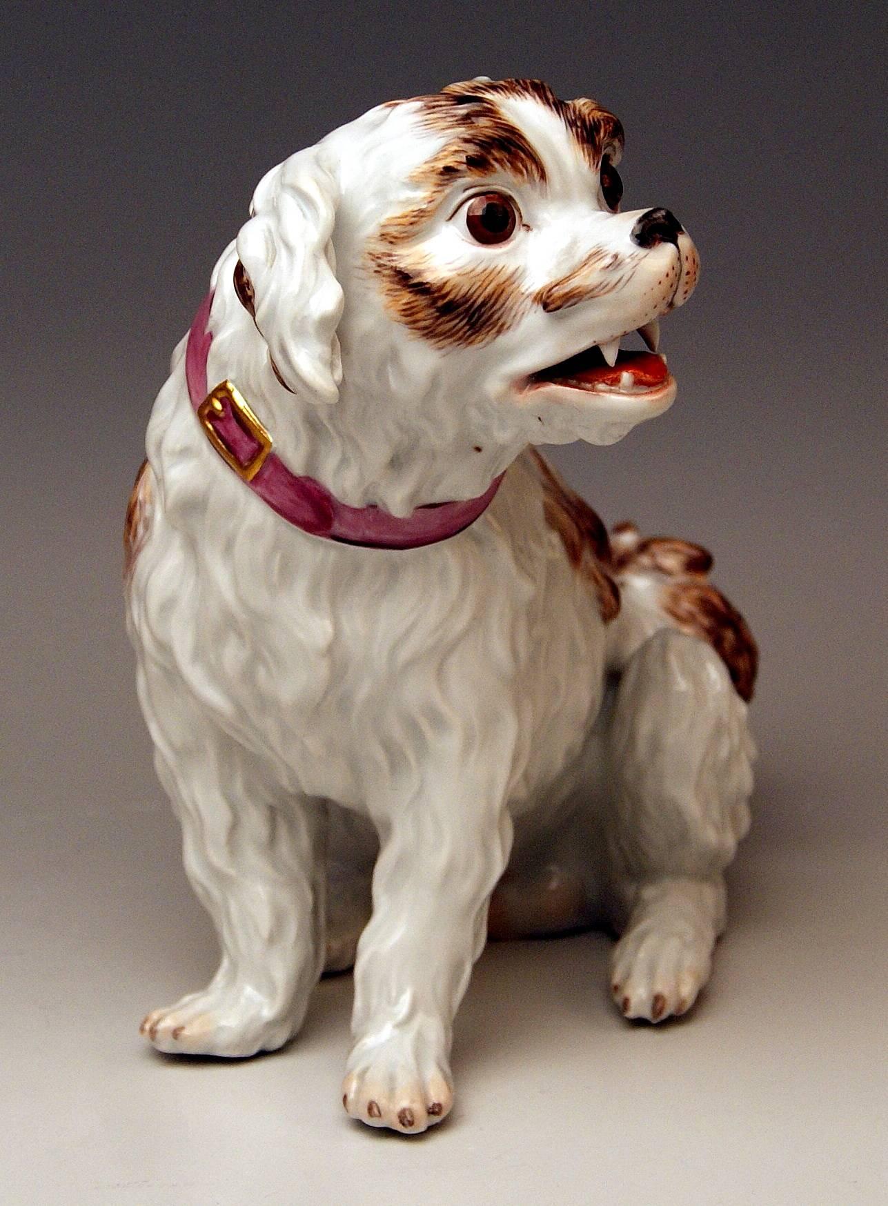 Meissen very lovely as well as gorgeous dog's figurine: So-said Spaniel dog, excellently manufactured.

Measures / dimensions:
height 7.48 inches / 19.0 cm 
width 9.055 inches / 23.0 cm 
depth 4.33 inches / 11.0 cm 

Manufactory: