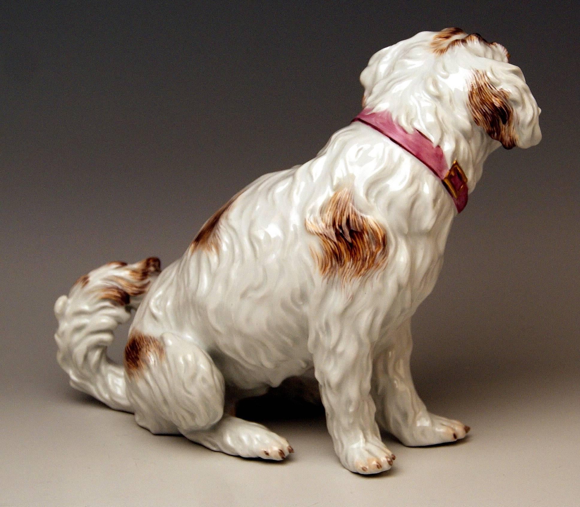 Rococo Meissen Dog Figurine Spaniel, Johann Joachim Kaendler Pfeiffer Period 1924-1934