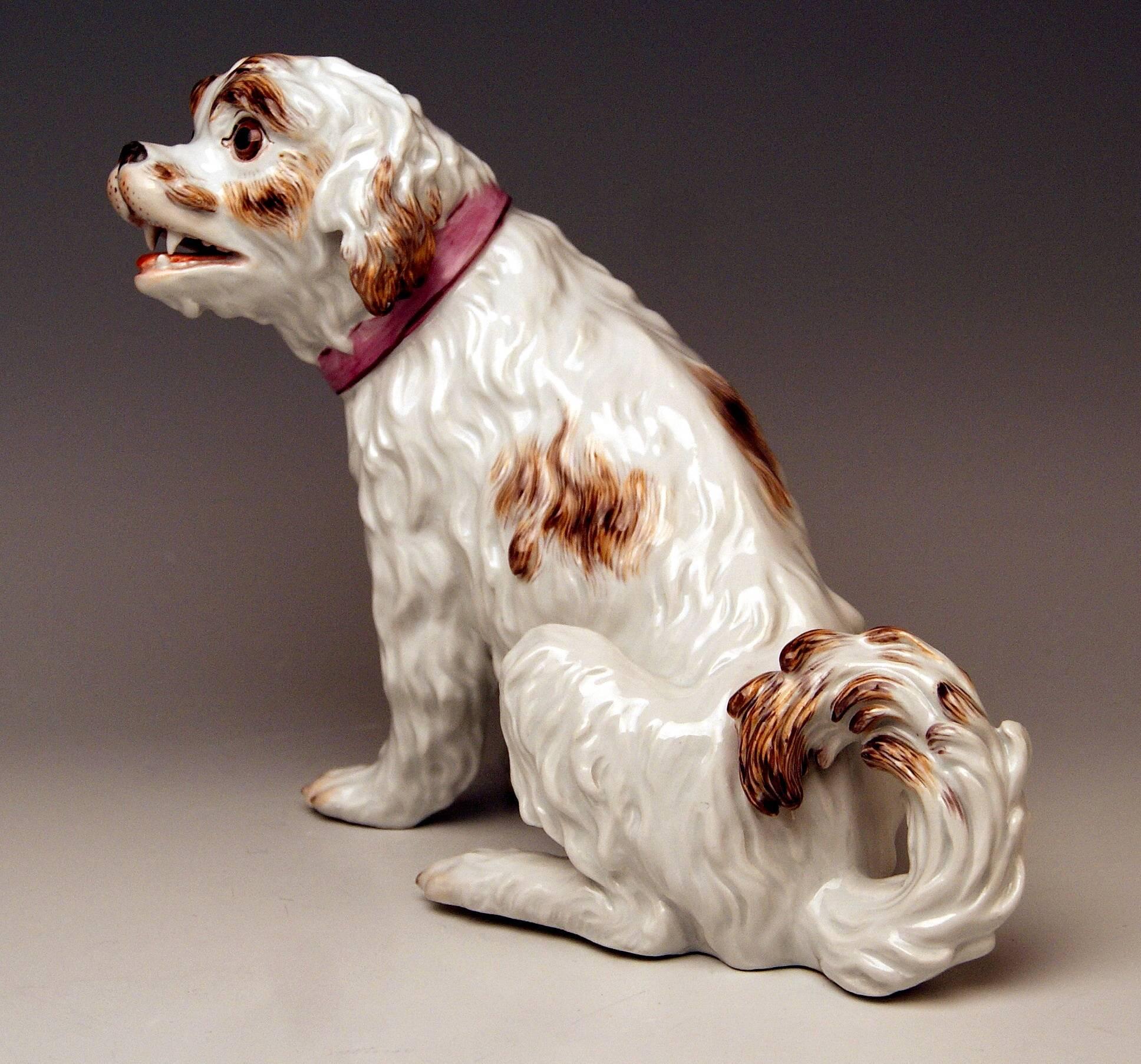 German Meissen Dog Figurine Spaniel, Johann Joachim Kaendler Pfeiffer Period 1924-1934