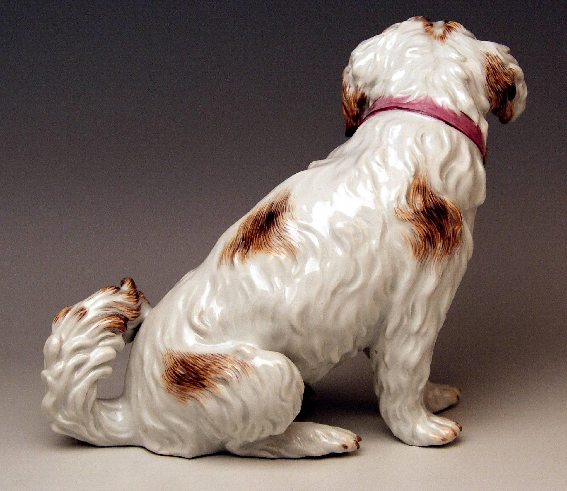 Painted Meissen Dog Figurine Spaniel, Johann Joachim Kaendler Pfeiffer Period 1924-1934