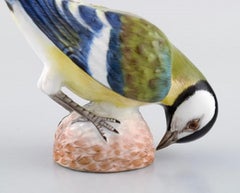 Meissen, Germany, Antique Hand-Painted Porcelain Figure, Bird, Late 19th C.