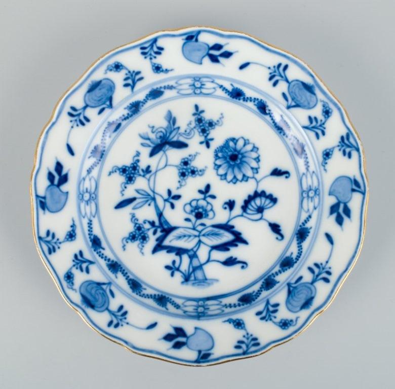 blue onion china