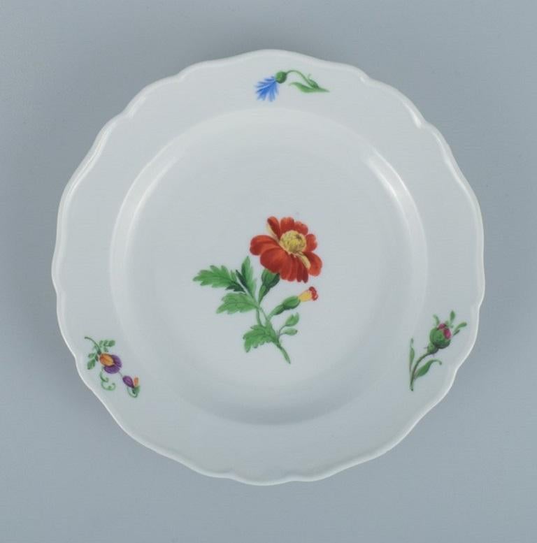 Hand-Painted Meissen, Germany, Five Plates of Porcelain Decorated with Flowers For Sale