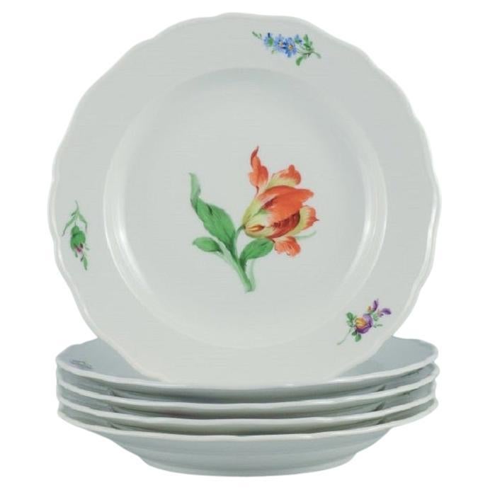 Five Antique Meissen Dinner Plates in Hand Painted Porcelain with Birds