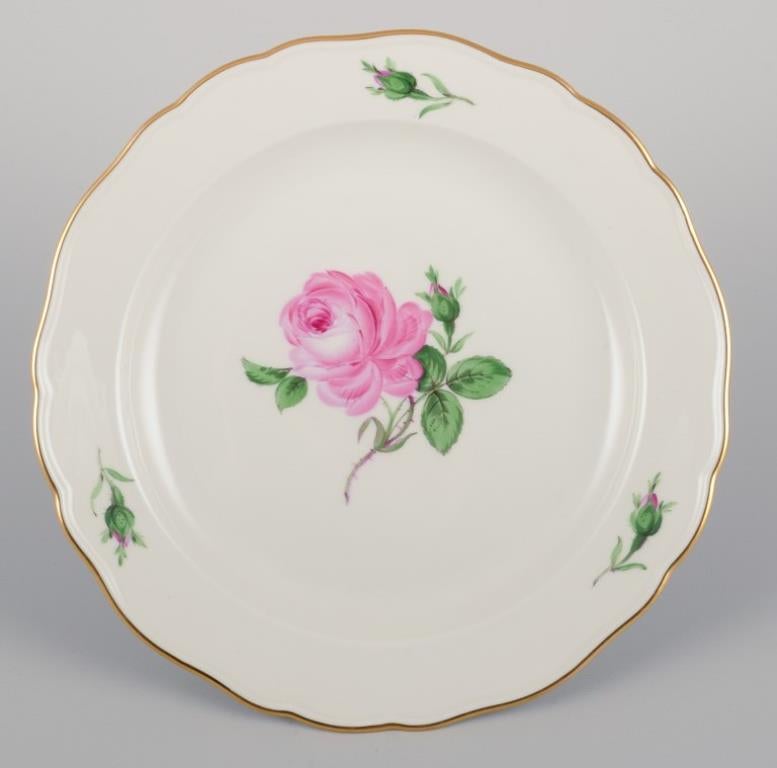 Inizio XX secolo Meissen, Germania. Quattro piatti da pranzo con il motivo di una rosa rosa. in vendita