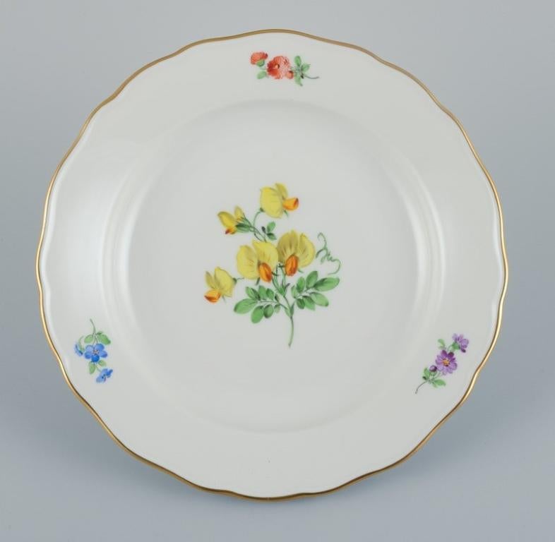 Meissen, Germany, Four Porcelain Plates Hand Painted with Various Floral Motifs  2