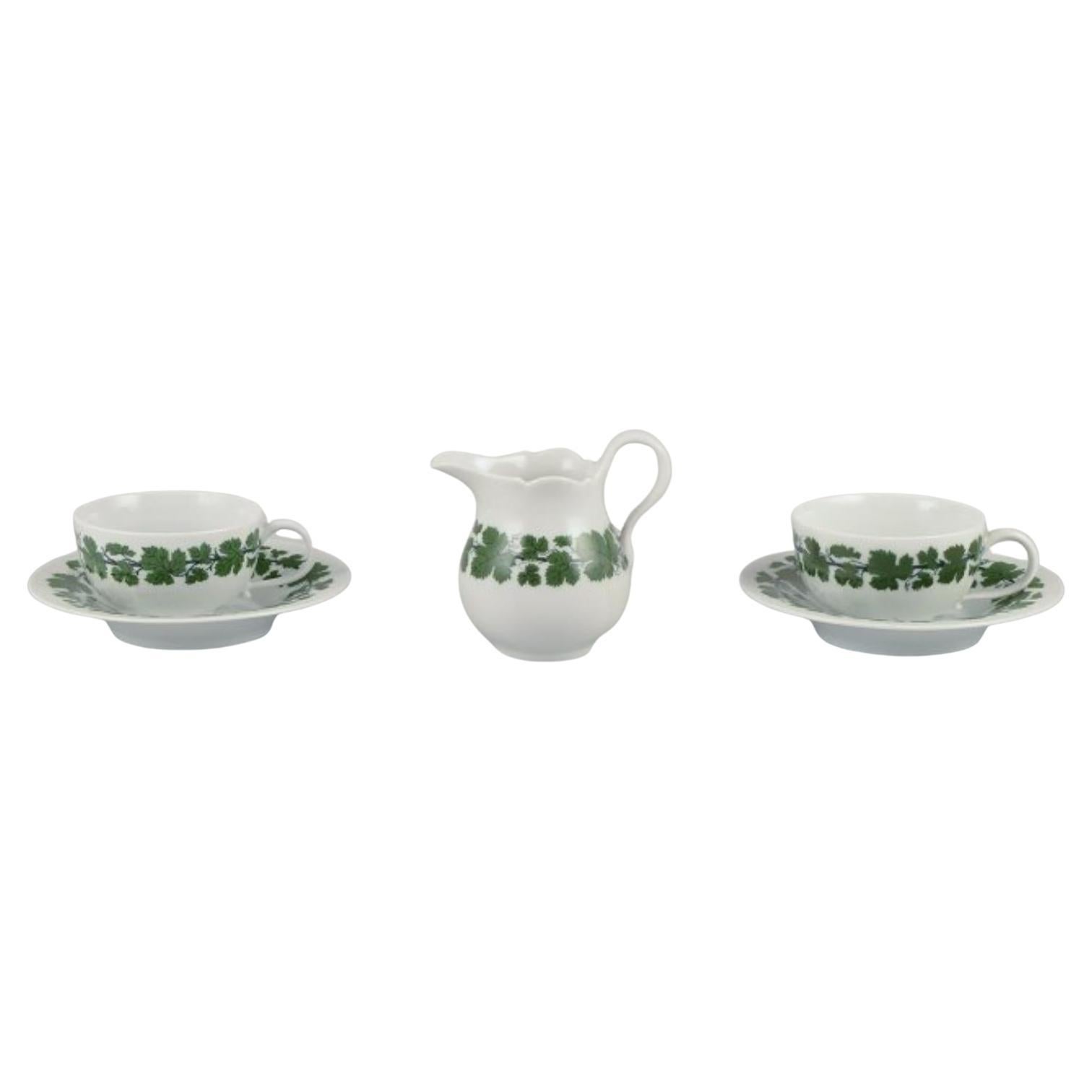 Meissen, Alemania, Vid de hiedra verde, dos tazas de café con platillos y cremera