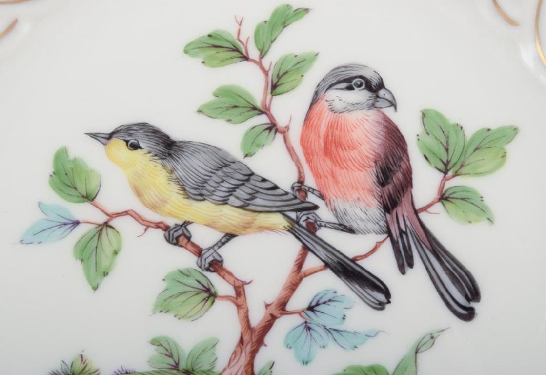 Peint à la main Meissen, Allemagne. Assiette en porcelaine ouverte à motif d'oiseaux et d'insectes en vente