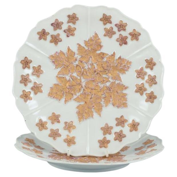 Meissen, Allemagne. Paire d'assiettes anciennes en porcelaine décorées de fleurs.