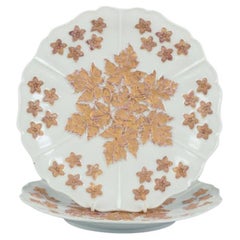 Meissen, Allemagne. Paire d'assiettes anciennes en porcelaine décorées de fleurs.