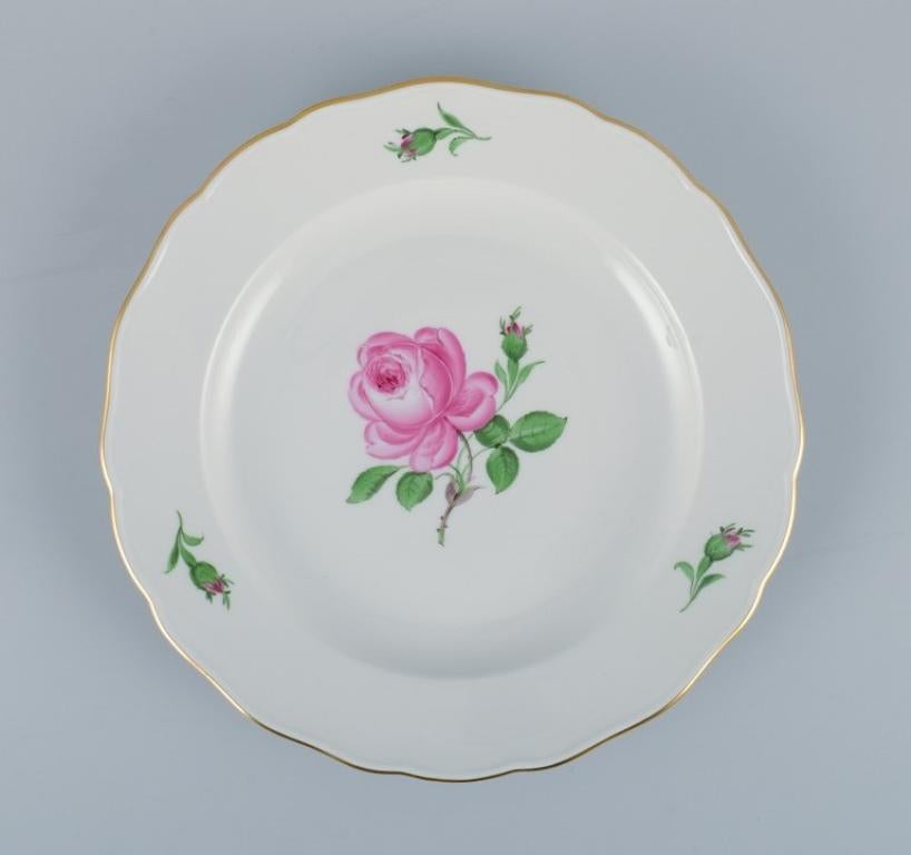 Hand-Painted Meissen, Germany, Pink Rose, Five Dinner Plates, Mid-20th Century For Sale