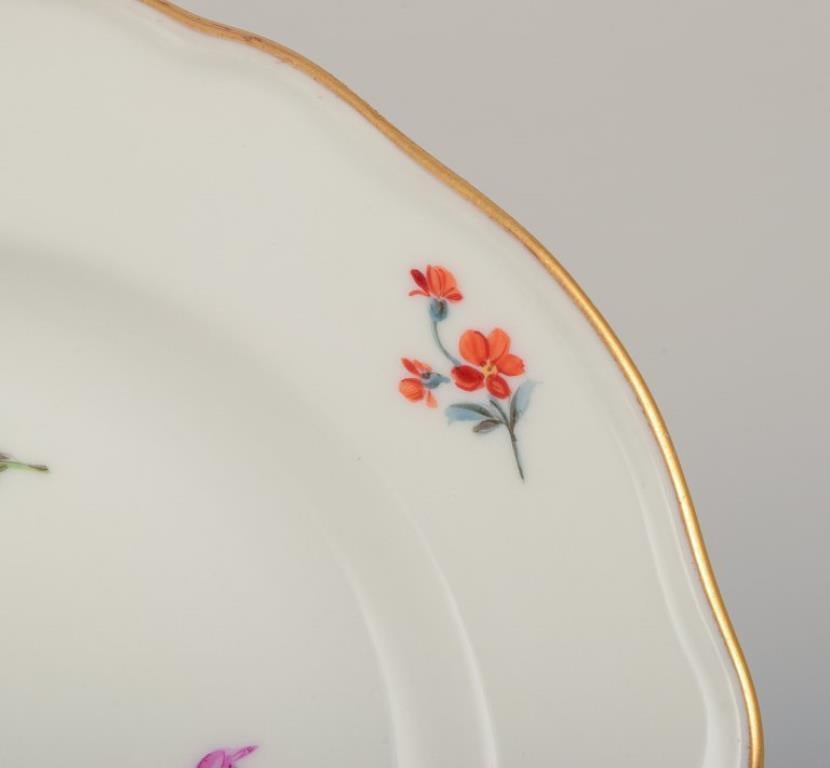 Meissen, Alemania. Conjunto de once platos pequeños de porcelana. Pintado a mano