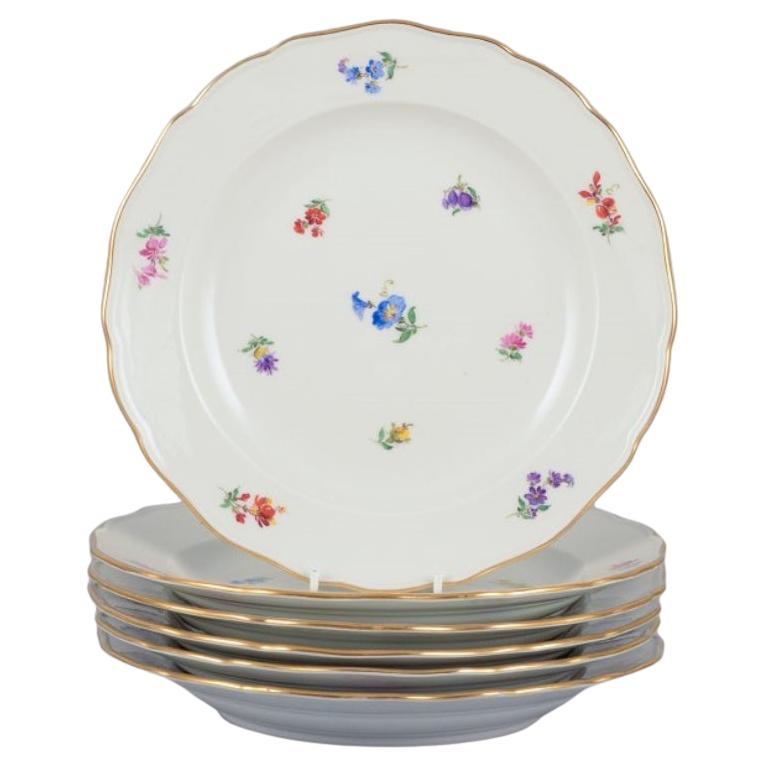 Meissen, Germany. Set of six dinner plates in porcelain. Early 20th C. For Sale