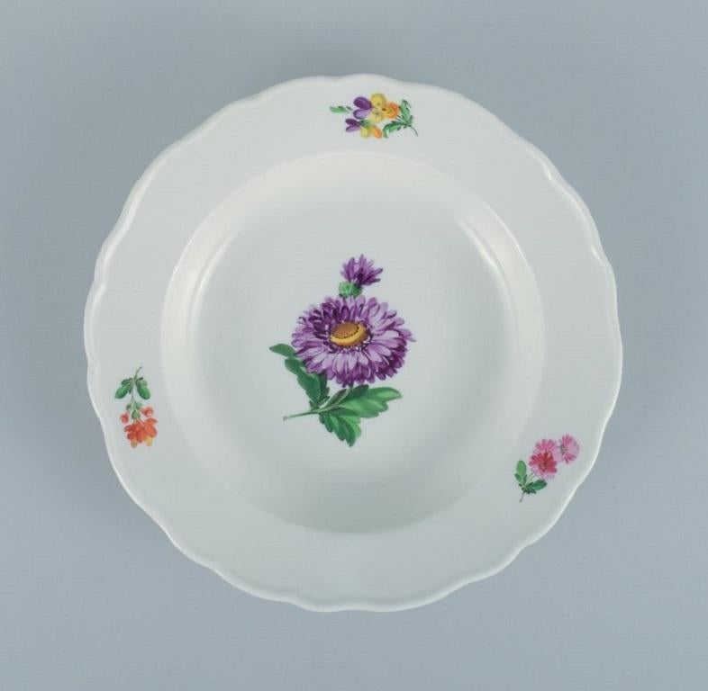 Hand-Painted Meissen, Germany, Six Deep Plates of Porcelain Decorated with Flowers For Sale