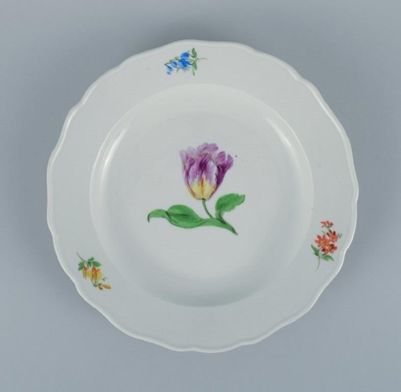 Hand-Painted Meissen, Germany, Six Dinner Plates hand painted with Floral Motifs